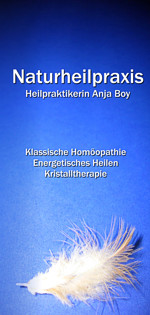 Folder Homöopathiepraxis Boy